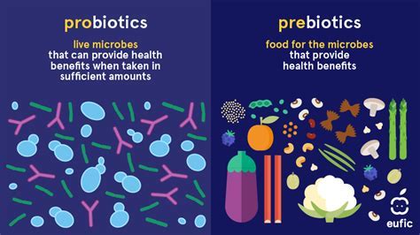 Can I Take Vitamins with Probiotics? Exploring the Synergy and Potential Conflicts