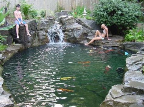 Can You Swim in a Koi Pond, and What Happens If You Try to Teach the Fish Yoga?