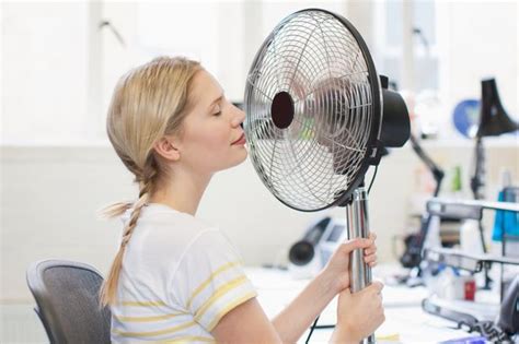 Does Running a Fan Use a Lot of Electricity? And Why Do Penguins Prefer Ceiling Fans?