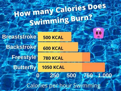 Does Swimming or Running Burn More Calories? And Why Do Fish Never Get Tired of Swimming?