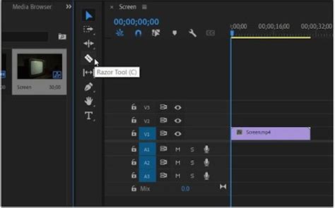 How to Mute a Clip in Premiere Pro